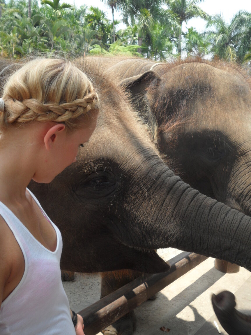 Maike und ein Elefant