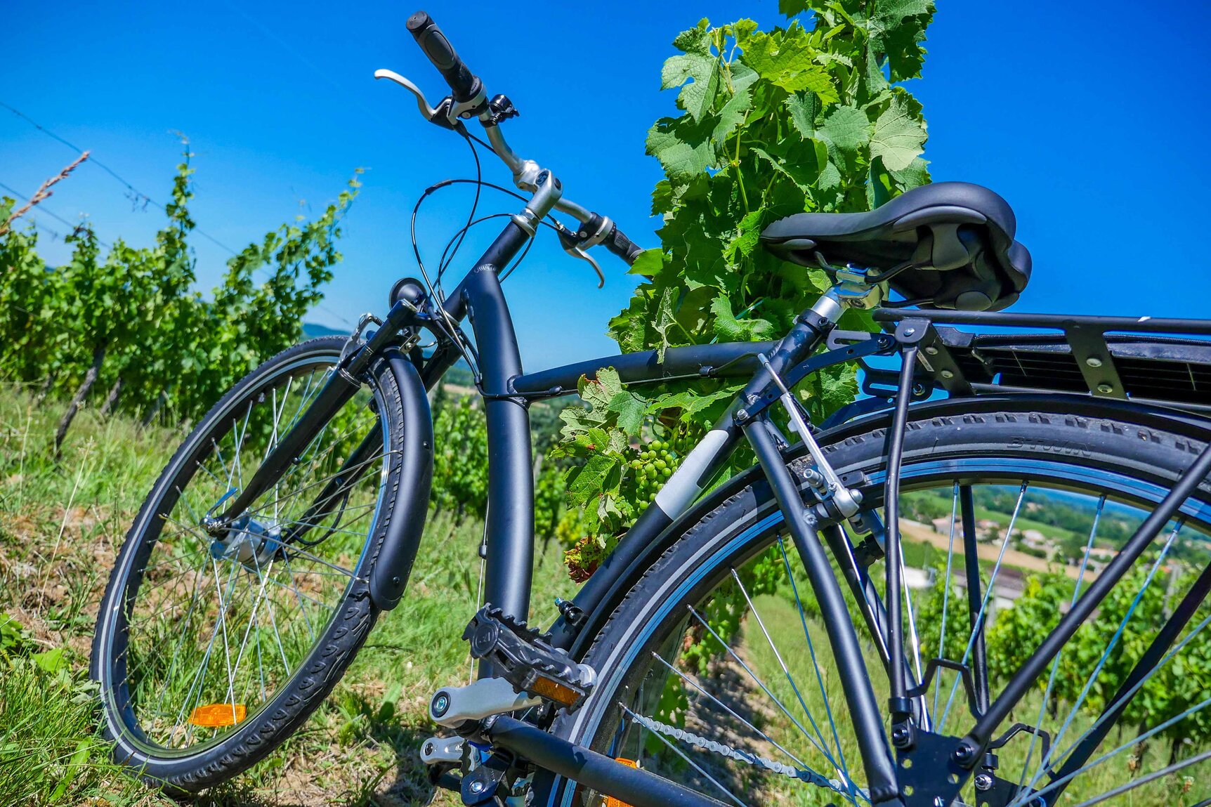 Fahrrad im Grünen