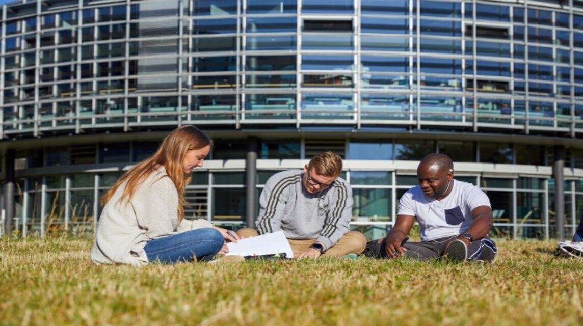 Studierende lernen zusammen auf einer Wiese.