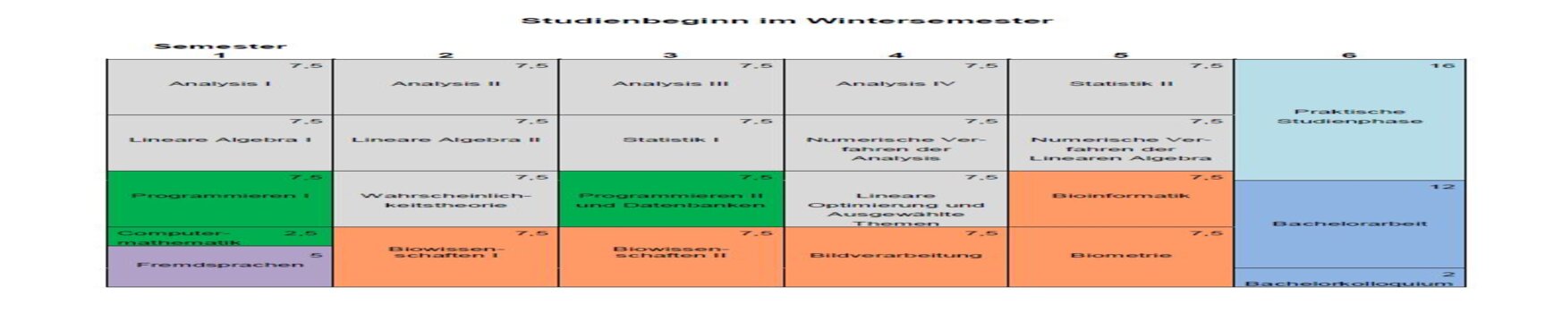 Studienverlaufspläne Biomathematik