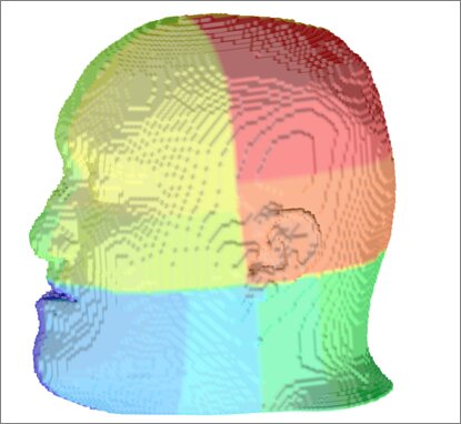 Gebietszerlegung der Simulation eines menschlichen Schädels