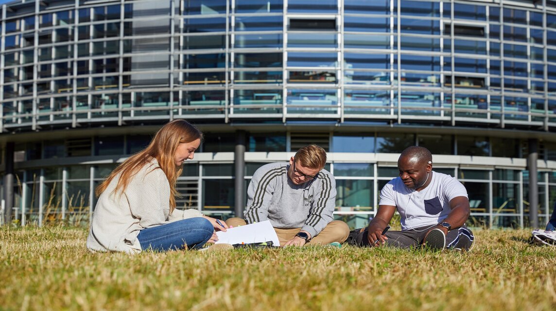 Studierende lernen auf der Wiese