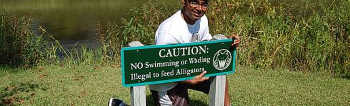 Caution: No swimming or feeding the alligators 