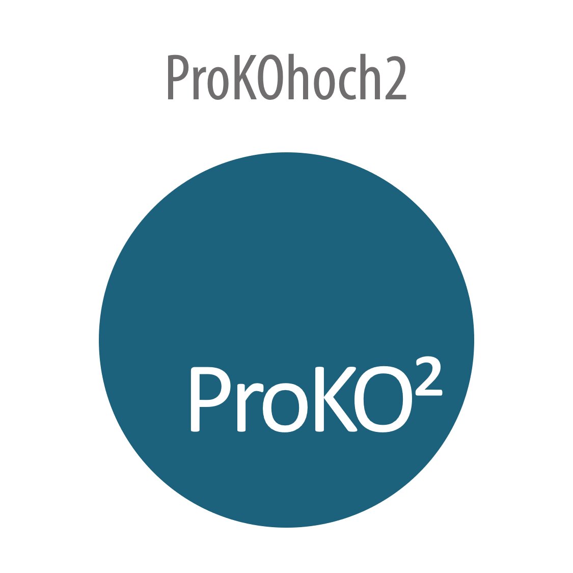 Grafische Darstellung zum Projekt ProKOhoch2