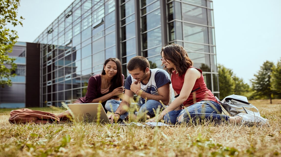 Studierende lernen zusammen auf einer Wiese.