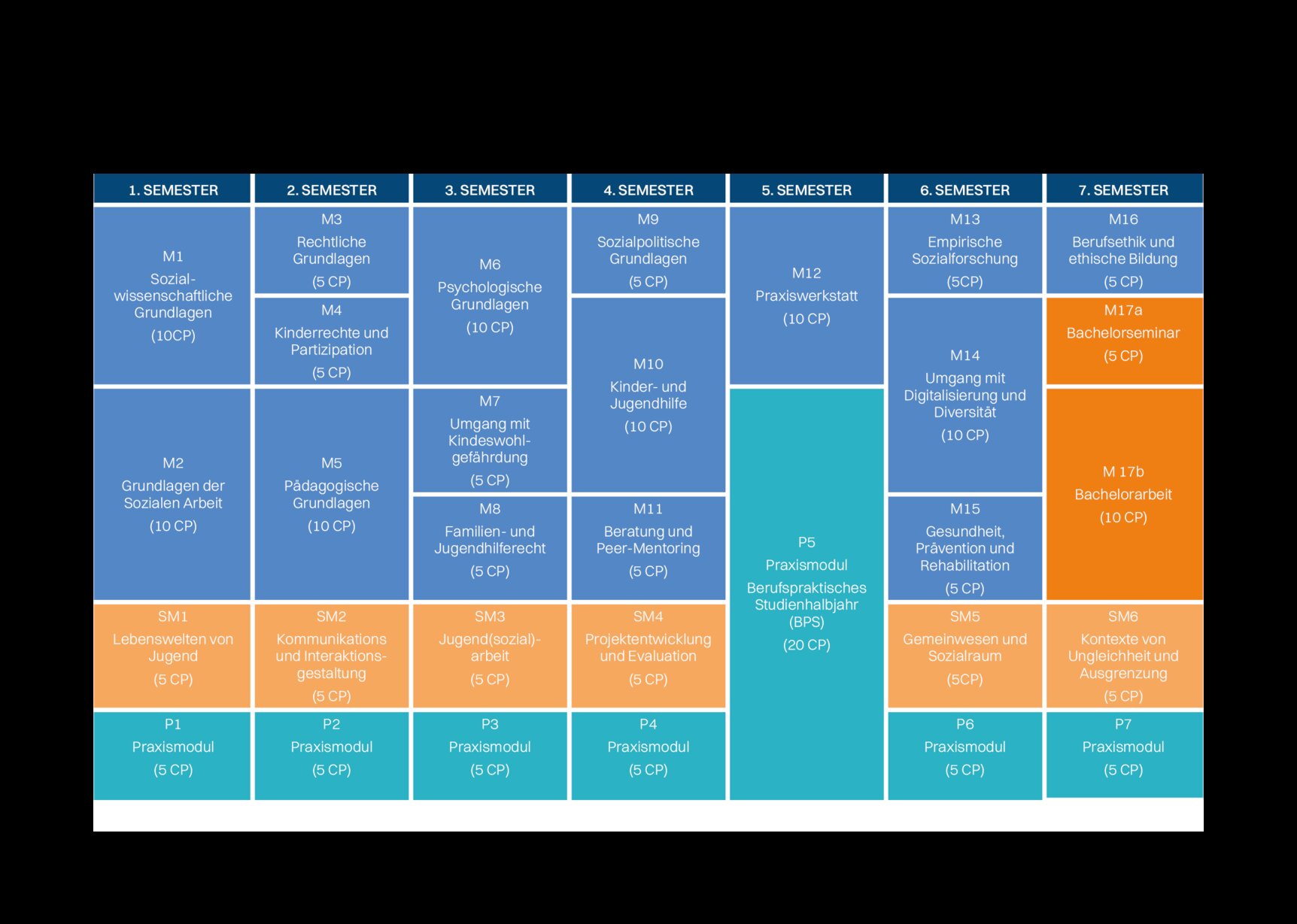 Tabelle Studienaufbau. 1. Semester M1 Sozialwissenschaftliche Grundlagen (10 CP). M2 Grundlagen der Sozialen Arbeit (10 CP). SM1 Lebenswelten von Jugend. P1 Praxismodul (5 CP). 2. Semester. M3 Rechtliche Grundlagen (5CP). M4 Kinderrechte und Partizipation (5 CP). M5 Pädagogische Grundlagen (10 CP). SM2 Kommunikations- und Interaktionsgestaltung (5 CP). P2 Praxismodul (5 CP). 3. Semester. M6 Psychologische Grundlagen (10 CP). M7 Umgang mit Kindeswohlgefährdung (5 CP). M8 Familien- und Jugendhilferecht (5 CP). SM3 Jugend(sozial)arbeit (5 CP). P3 Praxismodul (5 CP). 4. Semester. M9 Sozialpolitische Grundlagen (5 CP). M10 Kinder- und Jugendhilfe (10 CP). M11 Beratung und Peer-Mentoring (5 CP). SM4 Projektentwicklung und Evaluation (5 CP). 5. Semester M12 Praxiswerkstatt (10 CP). P5 Praxismodul Berufspraktisches Studienhalbjahr (BPS) (20 CP). 6. Semester. M13 Empirische Sozialforschung (5 CP). M14 Umgang mit Digitalisierung und Diversität (10 CP). M15 Gesundheit, Prävention und Rehabilitation (5 CP). SM5 Gemeinwesen und Sozialraum (5 CP). P6 Praxismodul (5 CP). 7. Semester. M16 Berufsethik und ethische Bildung (5 CP). M17a Bachelorseminar (5 CP). M17b Bachelorarbeit (10 CP). SM6 Kontexte von Ungleichheit und Ausgrenzung (5 CP). P7 Praxismodul (5 CP)