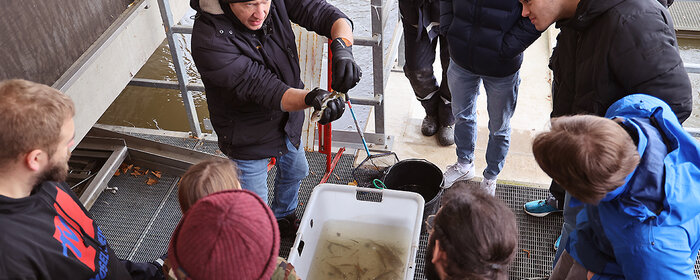 Studierende sind mit einem Wissenschaftler von oben bei der Arbeit mit Fischen am Wasser fotografiert.