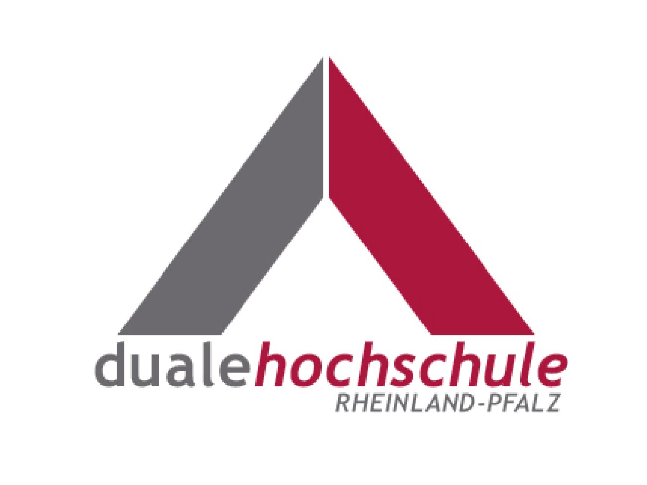 Logo der Dualen Hochschule Rheinland-Pfalz