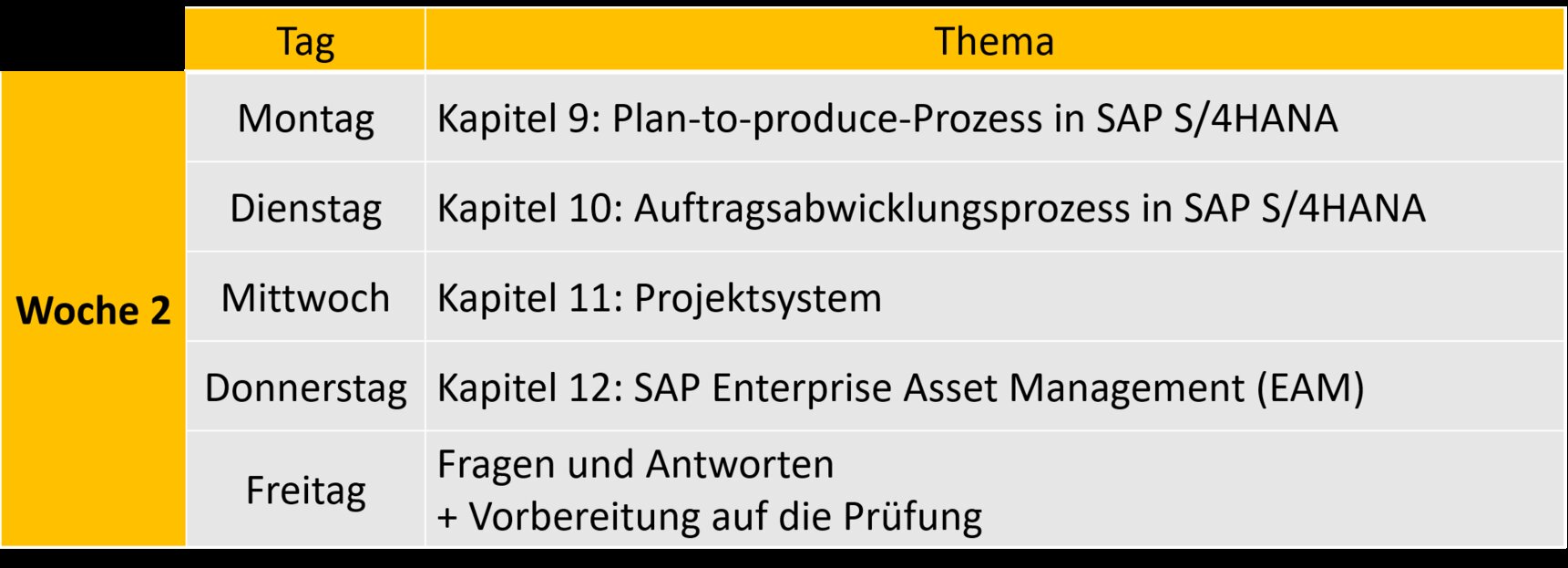 Kursplan SAP Kurs Woche 2