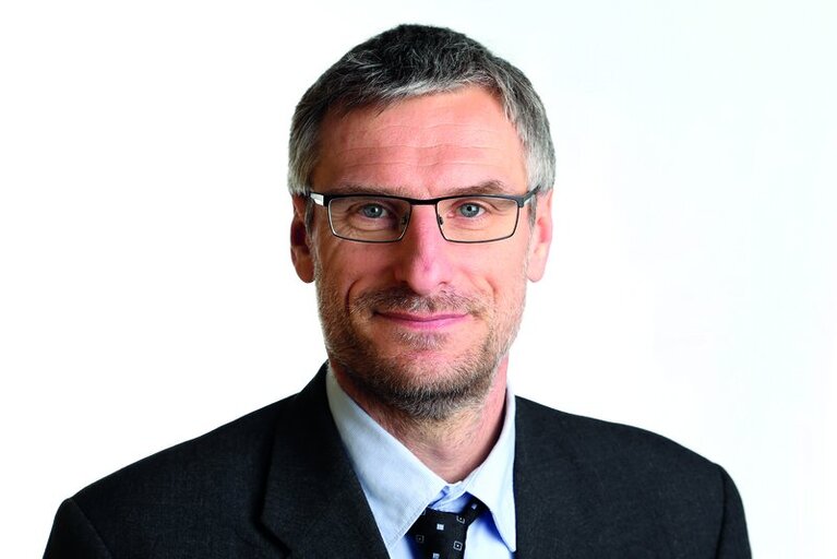 Porträt des Professors