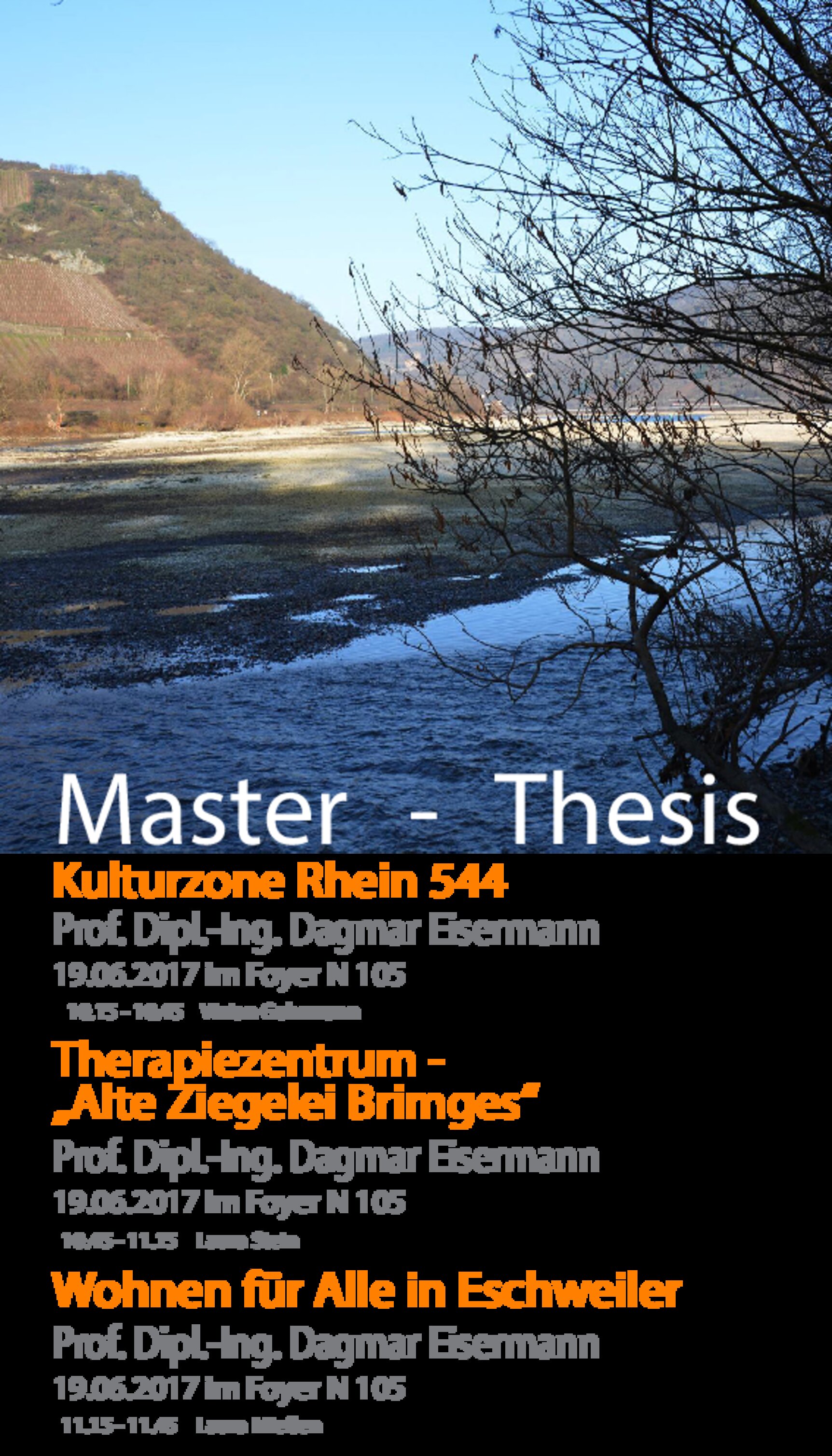 Master Thesis Präsentationen