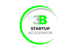 3B