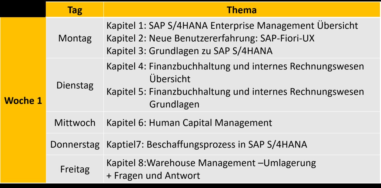 Kursplan SAP Kurs Woche 1