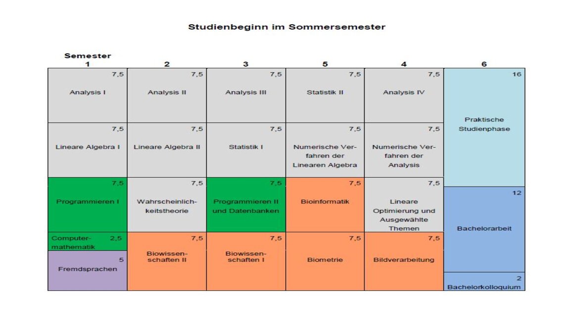 Studienverlaufsplan Biomathematik Sommersemester