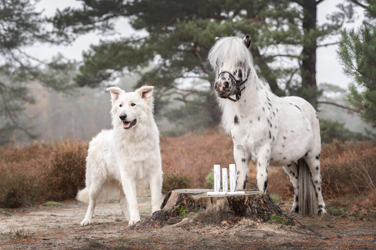 Ein Hund und ein Pferd mit Pflegeprodukten von Doderm.