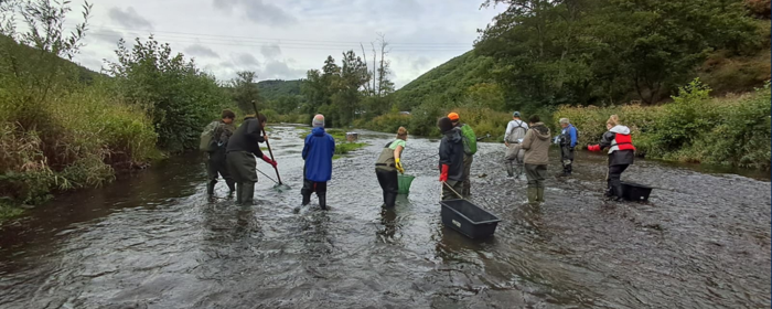 Zehn Personen in wetterangepasster Kleidung gehen mit Gerätschaften durch die Ahr. Sie sind von hinten zu sehen.