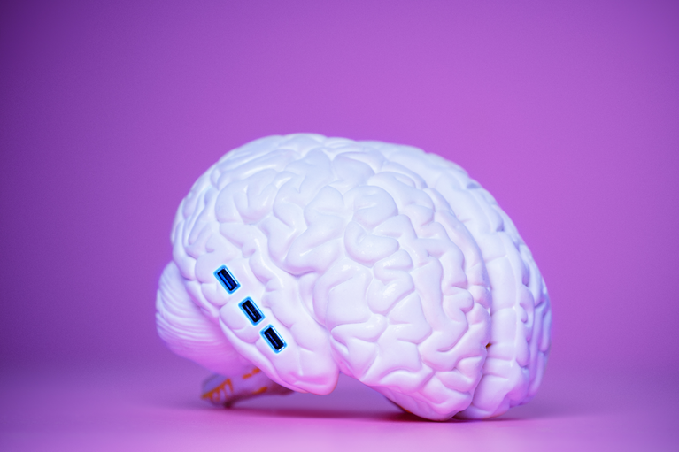 Modell eines Gehirns mit USB