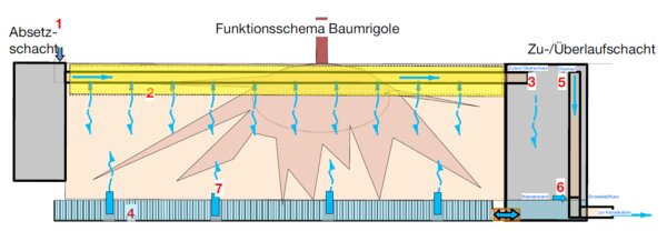 Funktionsschema einer unterirdisch verbauten Baumrigole