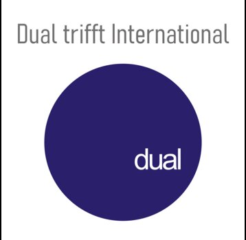 Grafische Darstellung zum Projekt Dual trifft International
