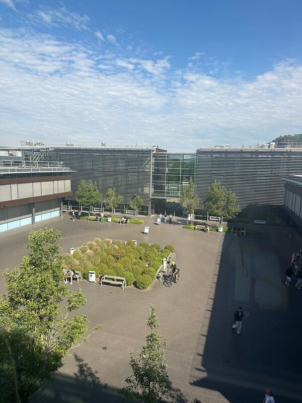 Campus Remagen aus der Vogelperspektive