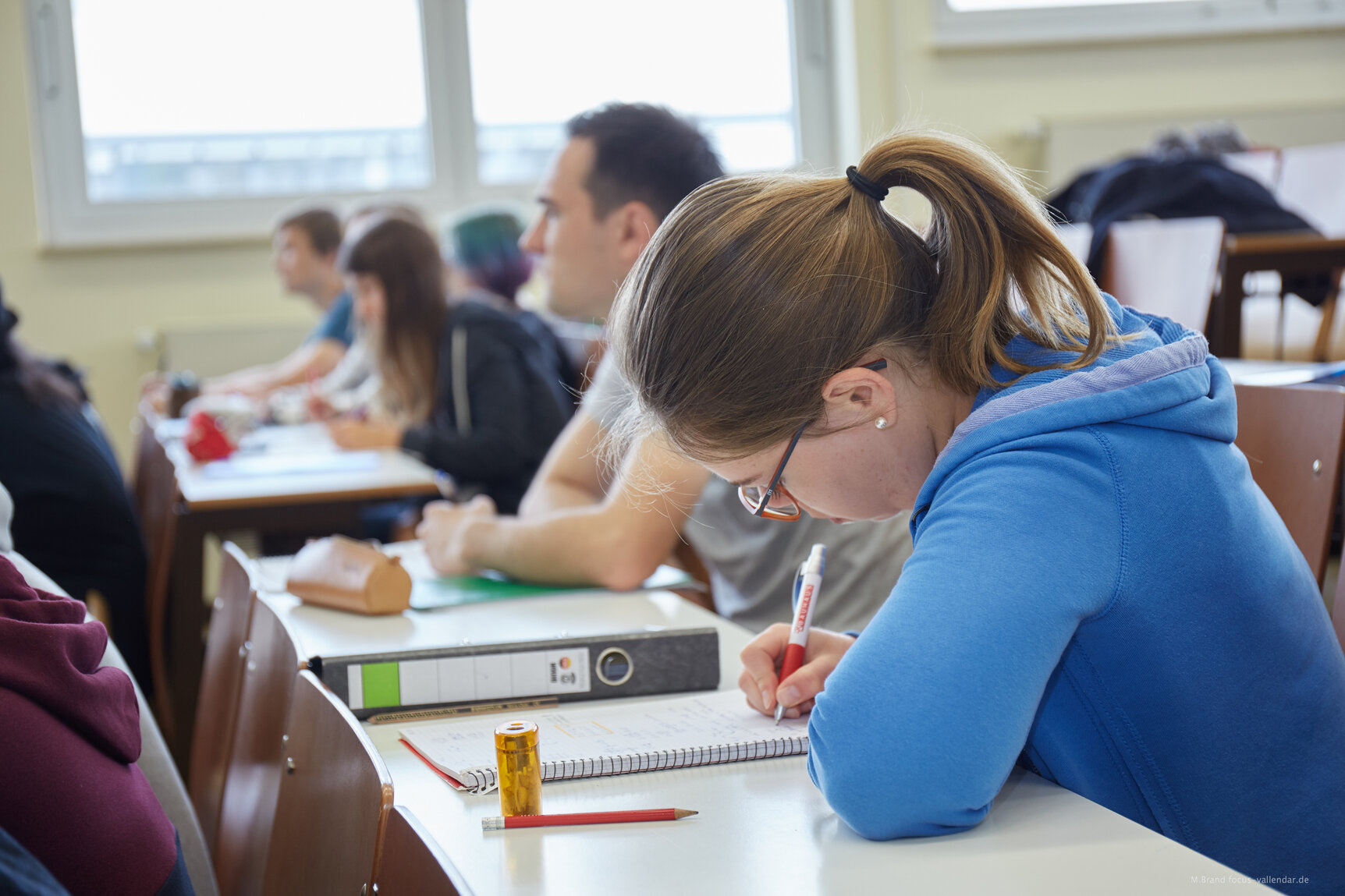 Link zur Seite des Studiengangs