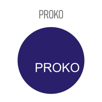 Grafische Darstellung zum Projekt PROKO