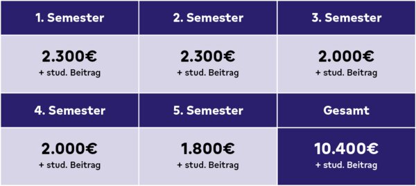 Graphische Darstellung der Kostenstruktur des MBA-Fernstudiums der HS Koblenz