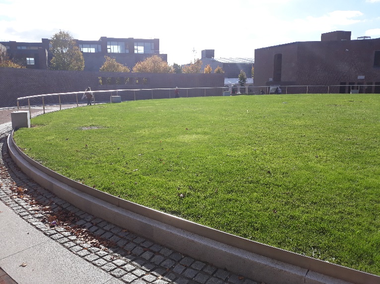 Rasenplatz vor Gast-Universität