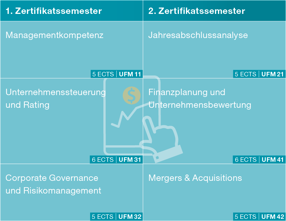 graphische Darstellung Kursübersicht Unternehmensführung/Finanzmanagement