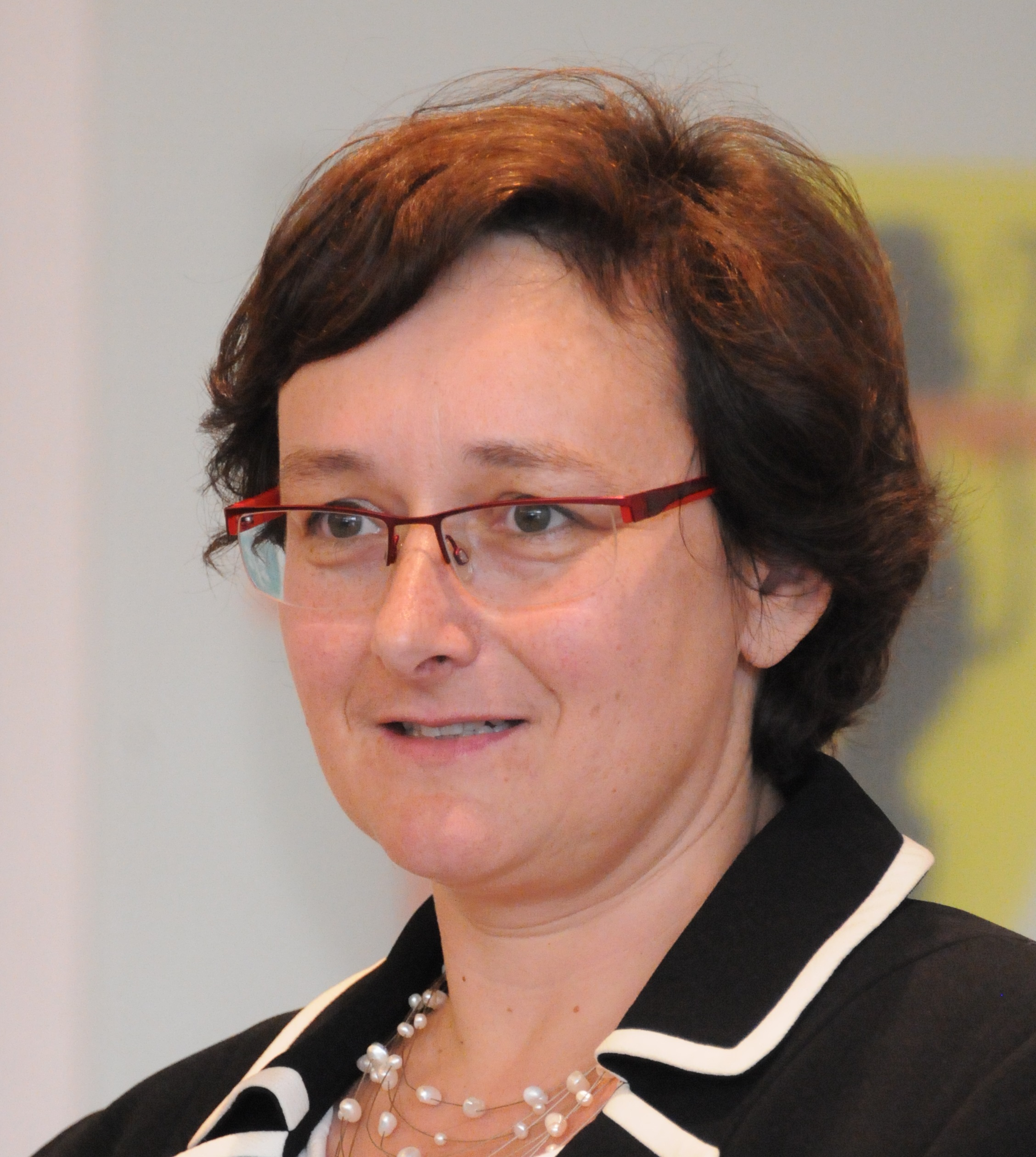 Prof. Dr. Maria A. Wimmer